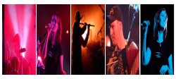 Capercaillie Live